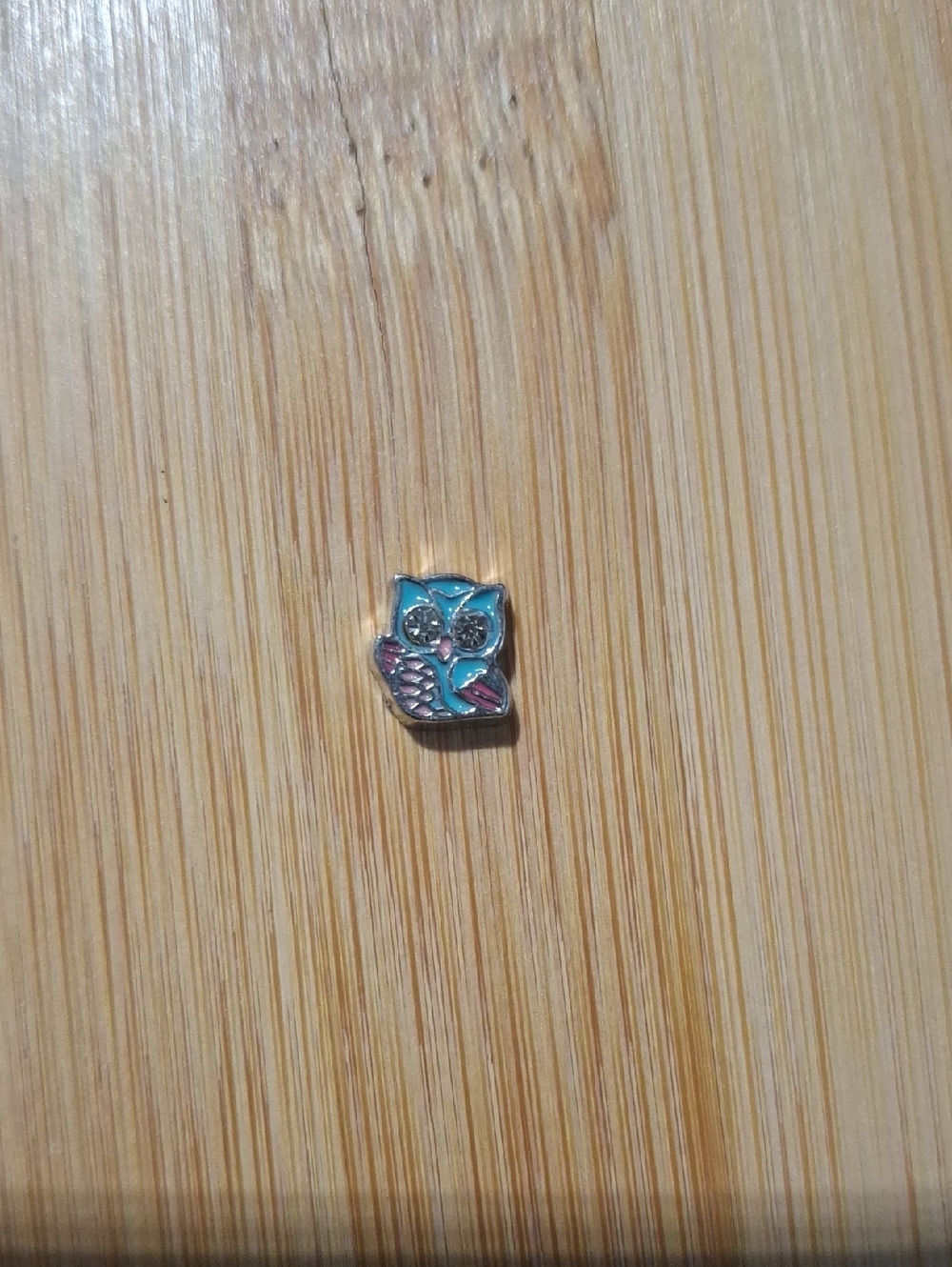 Turquoise and Pink Owl Floating Locket Charm